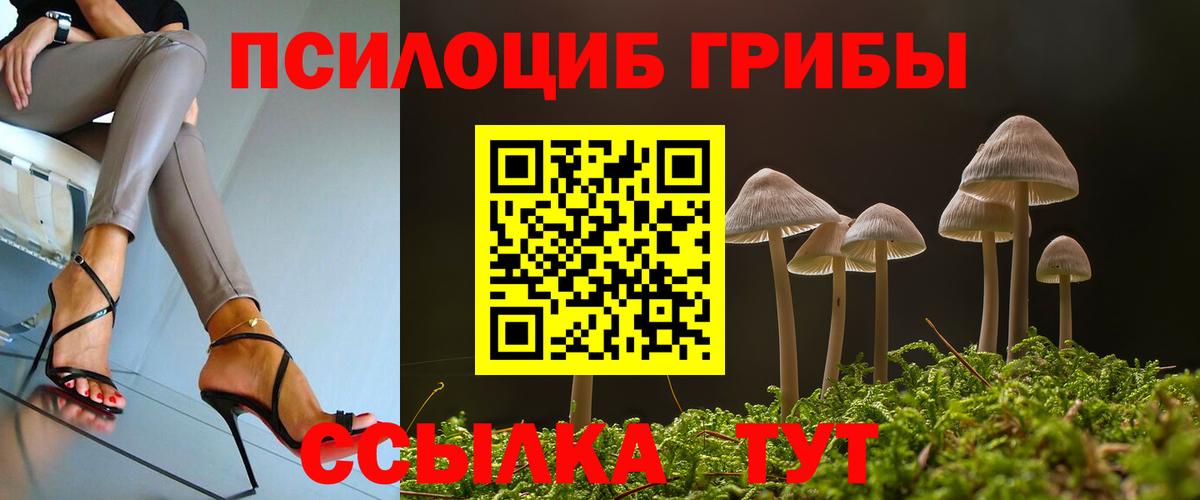 Псилоцибиновые грибы Psilocybine cubensis  Псилоцибиновые грибы мицелий  Реж  Вход с VPN 